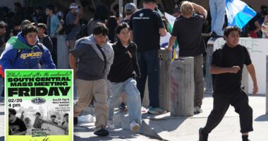 Radical SoCal group sets next anti-ICE âmass meetingâ as White House slams ‘far-left’ orgs that target law enforcement